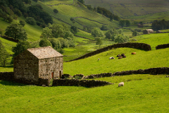 Swaledale_Barn1
